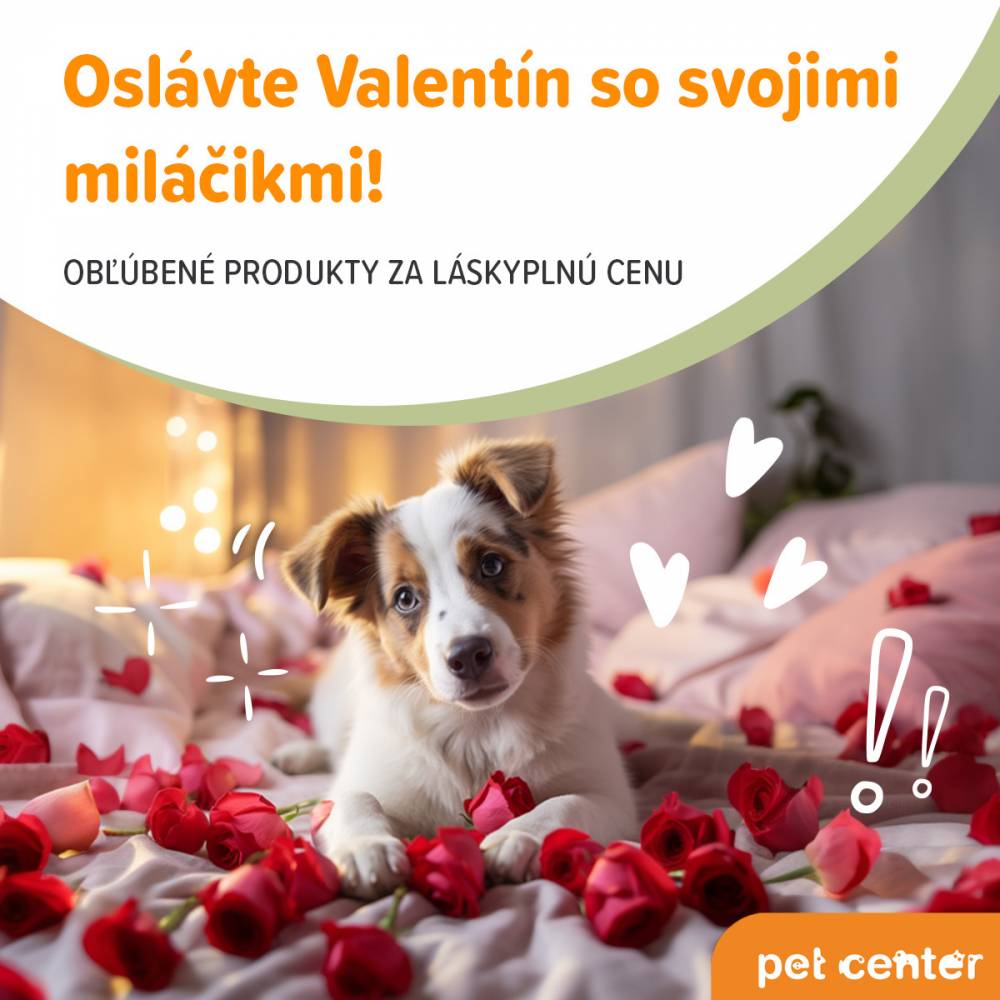 Oslávte Valentín so svojimi miláčikmi